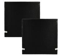2 Filtro per Beurer LR 300 LR 310 purificatore d'aria