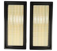 2 filtro principale per Nilfisk Attix 30-21 XC 230V 50HZ DK, 30