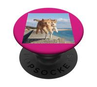 2 gatti volanti cat_001 PopSockets PopGrip Adesivo