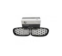 2 Griglie Del Radiatore Per BMW Série 5 F10 F11 51137261356