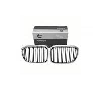 2 Griglie Del Radiatore Per BMW X1 E84 51112993305 51112993306