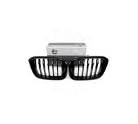 2 Griglie Del Radiatore Per BMW X3 F97,G01,G08 G01 X4 F98, G02 51138091725