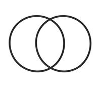 2 guarnizioni ad anello SPX3000S per prefiltro, compatibile con Hayward Super II SP3000 serie SP3007 SP3010, guarnizione in gomma ermetica per pompa e filtro piscina