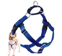 2 Hounds Design Freedom No Pull Dog Harness, Adjustable Harness, Easy Walking & Comfortable Control, Fits Small, Medium & Large Dogs, Solid Colors, Made in USA, 1" XL, Royal Blue