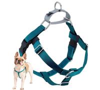 2 Hounds Design libertà No-Pull Harness guinzaglio Non Solo, 2,5 cm, Media