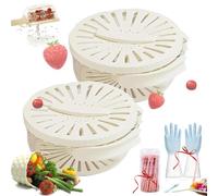 2-In-1 Drainer, 2 In 1 Drainer and Strainer, Dual Layer Draining Basket with Collapsible Handle, Multi-Function Drain Basket, for Rinsing Straining Vegetable Washing Fruit (2PCS-3)