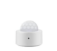 2 in 1 Mini PIR Motion Detector + Bright Lux Light Passive Infrared Security Antifurto Sensore di allarme(Type B(need gateway))