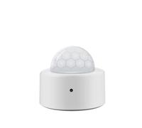 2 in 1 Mini PIR Motion Detector + Bright Lux Light Passive Infrared Security Antifurto Sensore di allarme(Type A(need gateway))