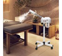 2 in 1 ozono vaporizzatore viso spray denso salone di bellezza ospedaliero domestico viso sauna spruzzatore freddo per umidificazione della pelle 220V 750W