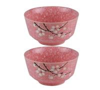 2 Keramik-Ramen-SchÃ¼sseln, Pho-SchÃ¼sseln zum Abendessen