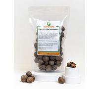 Coquitos Mini Noci Di Cocco Con Guscio Buxtrade Cocco