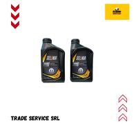 2 Lt Olio Motore Selenia ECO2 PLUS 0W20 Stellantis FPW9.55535/01 PSA B71 2010
