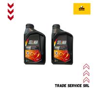 2 Lt Olio Selenia ECO2 PLUS 0W20 Stellantis FPW9.55535/01 Fiat DM1 PSA B71 2010