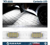 2 Luci di CORTESIA LED Per BMW X5 E53 Luci Sottoporta Bianche CANbus No Errori