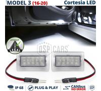 2 Luci di CORTESIA LED Per TESLA Model 3 Luci Sottoporta Bianco GHIACCIO CANbus