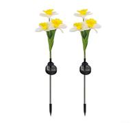2 luci solari a forma di narciso per giardino, per cortile, patio e sentiero, costruzione resistente alle intemperie IP65, luce notturna di ricarica diurna (bianco)
