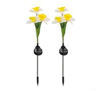 2 luci solari da giardino a forma di narciso, luci solari ornamentali da giardino, impermeabilità IP65, lampada decorativa a forma di fiore, per giardino e cortile (bianco)