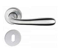 2 MANIGLIE PER PORTE maniglia porta CON ROSETTA ORO BRONZO ALLUMINIO vi. tel. serie AGNONA (Alluminio Argento)