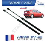 2 Martinetto Apertura Portellone Bagagliaio Posteriore Sinistro Destra Renault