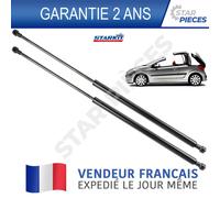 2 Martinetto Cofano Posteriore Sinistra + Destra 207 cc Coupé-cabriolet 06-15