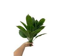 2 mazzi di piante artificiali per uccelli del paradiso 45.7 cm, foglie tropicali in finto Strelitzia, 12 foglie di banana, per piante in vaso e fiori, resistente ai raggi UV, verde