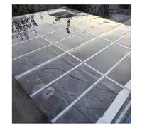 2 Mm Lastre In Policarbonato Pannello Per Tetto In Plastica, Copertura Antipioggia Per Finestre, Per Tettoie Esterne, Tettoie Per Auto, Pensiline Per Autobus(3.3x3.3ft)
