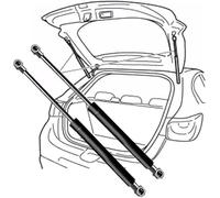 2 Molle a Gas Ammortizzatori Portellone Pistoncini Cofano Baule Posteriore per Jaguar XKR Cabrio/Coupe 2000-2007(OEM-GJA3800BB)-30cm, Leva Idraulica de Bagagliaio de Auto