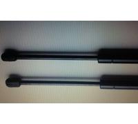 2 MOLLE A GAS PORTA PORTELLONE POSTERIORE PER TOYOTA YARIS (CP10) 1999>12.2004