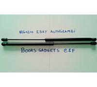 2 Molle a Gas Portellone Post. Compatibile con Citroen C3 IV (SX) 2 vol. 2017>