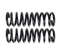 2 Molle Anteriori Coil 65 66 Chevrolet BelAir Biscayne Impala 1965 1966 CHEVY