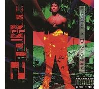 2 Pac - Strictly 4 My N.i.g.g.a.z. - 2 Vinili (new edition)