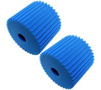 2-Pack Blu Filtro Schiuma (7 " x8 1.3cm ) per Electrolux Aerus E130 Series
