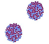 2 Pack Copri Vasetto Tappi Bottiglie Coperchi Dei Barattoli Di Marmellata