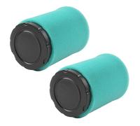 2-Pack Filtro Aria per Briggs & Stratton 319775 401577 405577 406777 407777