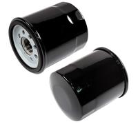 2-Pack Filtro Olio per Equitazione Falciatrice, Prato Trattore B&S Motore 121600