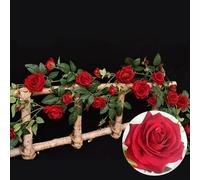 2 Pack Ghirlanda di Rose Artificiali, 90cm Seta Appeso Vite con Fiori e Foglie per la Casa Wedding Party Decor, Garden Craft Art,G