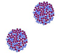 2 Pack Progetti Pratici in Bottiglia Coperchi Dei Barattoli Di Marmellata