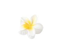 2 paia fermagli per capelli Plumeria vacanza hawaiana fiore artigli per capelli moda antiscivolo clip a banana per capelli sottili supporto per coda di cavallo impugnatura per capelli