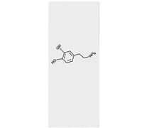 2 PCS Autoadesivi Del Tatuaggio Di Formula Chimica Della Dopamina Per Uomini E Donne Tatuaggi Temporanei Semi-Permanenti Impermeabili Durevoli A Base Di Erbe