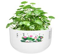 2 Pcs Boccia Per Pesci Contenitore X Ninfee Vaso Di Fiori Idroponici