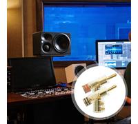 2 Pcs Connettore A Banana Spine Per Altoparlanti Connettori Spina