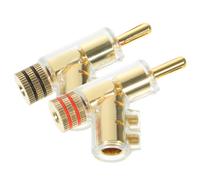 2 Pcs Connettori A Banana Per Amplificatori Terminale Amplificatore Spina