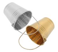 2 Pcs Contenitore Per Ghiaccio Cubetti Secchiello Il Bevande Porta Di