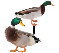 2 Pcs Decorazione Del Prato Per La Primavera Arredamento Di Animali