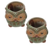 2 Pcs Fioriera in Ceramica Arredamento Di Gufi Piantatrice Succulenta