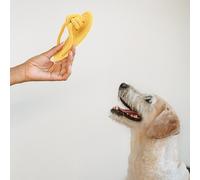 2 Pcs Giochi Per Cani Da Mordere Giocattolo Morso Molare Resistente Al