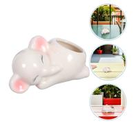 2 Pcs Grazioso Vaso Per Piante Vasi Succulenti Decorativi Graziosi