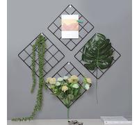 2 Pcs Griglia Foto Da Parete Espositore Per Sospeso Display Immagine