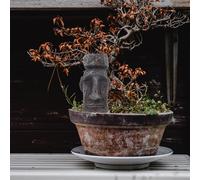 2 Pcs Ornamenti in Resina Moai Figurina Desktop Statua Decorativa