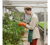 2 Pcs Paletta Lunga Per L'acqua Scoop D'acqua Mesto in Acciaio Inossidabile